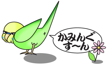 J~OX[